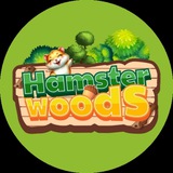 BeanGo Town: Hamster Woods