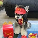 少爷的工作频道