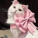 Prettiest, Kitty.