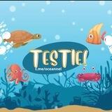 OCEANNEL’S TESTIE
