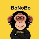 BoNoBo Smart Meme / STAKING LIVE 🐒 OWN SWAP Live