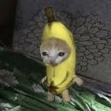 Banana Cat Portal