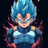 Vegeta - Portal