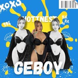 394 GEBOY