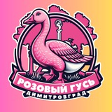 Розовый гусь. Димитровград