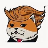 Free Donny - BSC portal