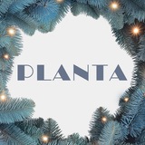 PLANTA