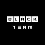 ⬛️ BLACK TEAM PORTAL