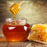Бджілка та мед 🐝🍯