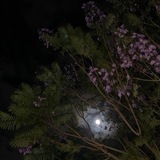 ♡...شوق...♡