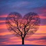 夕阳红老年项目对接群