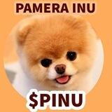 PAMERA INU_Official