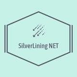 Silver-Lining Net