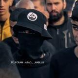 عرين الأسود