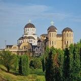 #ЗаПриют Общественное объединение