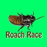 ROACH RACE