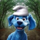 Smurf Doge - $Сенкереметсиң