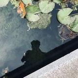 小七集团