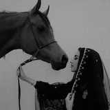 شمسِين .