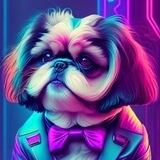 Shih Tzu CEO | Official Announcement Channel |