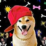 Crazy Shiba portal