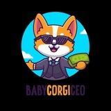 BabyCorgiCeo Chinese x1000 Reward $BNB
