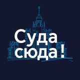 Суда сюда!