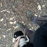 Фoтopепopтep N Tsitsagi