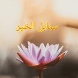 سنابل الخير المستوى الأول