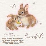 🐰 ֹ 가게 ﹢ ۫Lavenkith! ׅ ੭