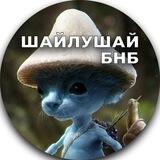шайлушай | Real Smurf Cat Portal #BNB
