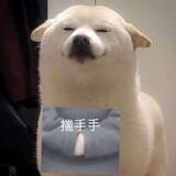 telegram.全局搜索