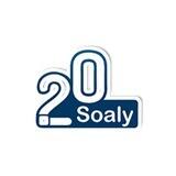 20 سوالی آزمون ها