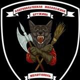Добровольческая молодежная дружина