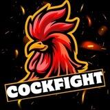 Cockfight GG - $COCKGG | PORTAL