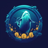 Чатка | Crypto Whale