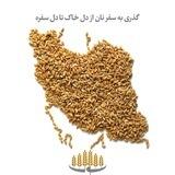 جشنواره ملی نان