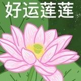 网吧投毒①群/一单一结（已上压500u）