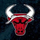 $BULLS PORTAL