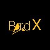 Bird X - Elon Twitter X1000