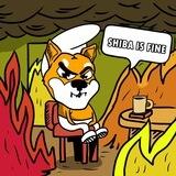 Shiba is Fine
