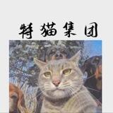特猫租苹果 ID 40起