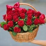 ГУЛЛАР ИФОРИ🌺🍃🌺🍃🌺🍃🌺🍃🌺🌺🍃🌺🍃🍃🍃🍃🍃