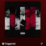 ＴＲＩＧＧＥＲＥＤ