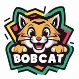 BOBCAT CHANNEL