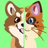 CatxDog Official