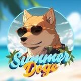 SummerDogePortalBSC