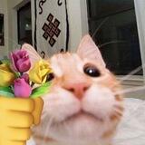 <❤️>.
