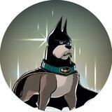 BatDoge Inu | Genuine meme