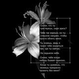 𝑃𝐴𝑆𝑆𝐼𝑂𝑁 𝐷'𝑈𝑁 𝑃𝑂È𝑇𝐸 𝑀𝑂𝑅𝑇.